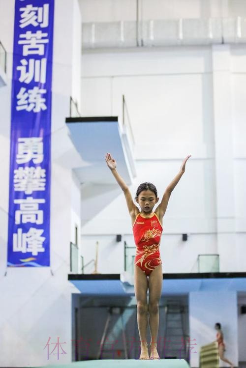 奥运冠军助阵 国际裁判护航 广州高规格选拔跳水小将 奥运冠军助阵 国际裁判护航 广州高规格选拔跳水小将