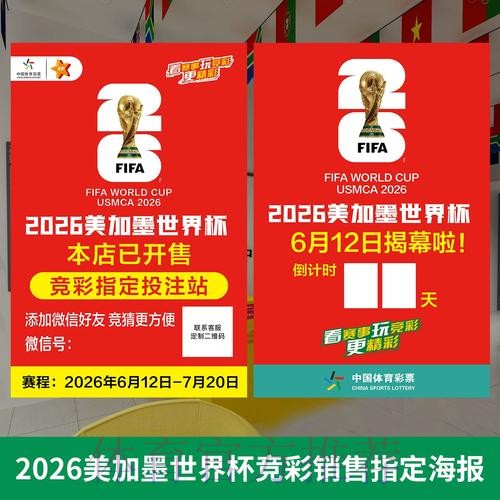 高清热门分析：世界杯投注指南